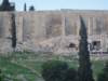dsc00118_small.jpg