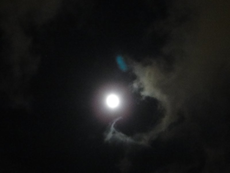 dsc00155.jpg