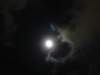 dsc00155_small.jpg