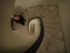 dsc00156_small.jpg