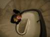 dsc00157_small.jpg