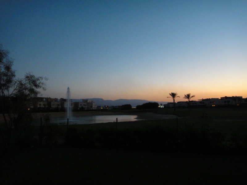 dsc00009.jpg