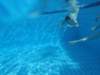 dsc00014_small.jpg