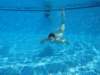 dsc00016_small.jpg