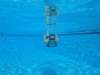 dsc00017_small.jpg