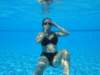 dsc00022_small.jpg