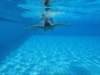 dsc00023_small.jpg