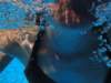 dsc00026_small.jpg