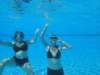 dsc00028_small.jpg