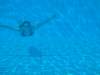 dsc00030_small.jpg