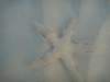 dsc00041_small.jpg