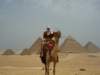 Egypt2010