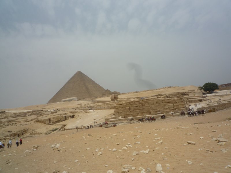 p1000811.jpg
