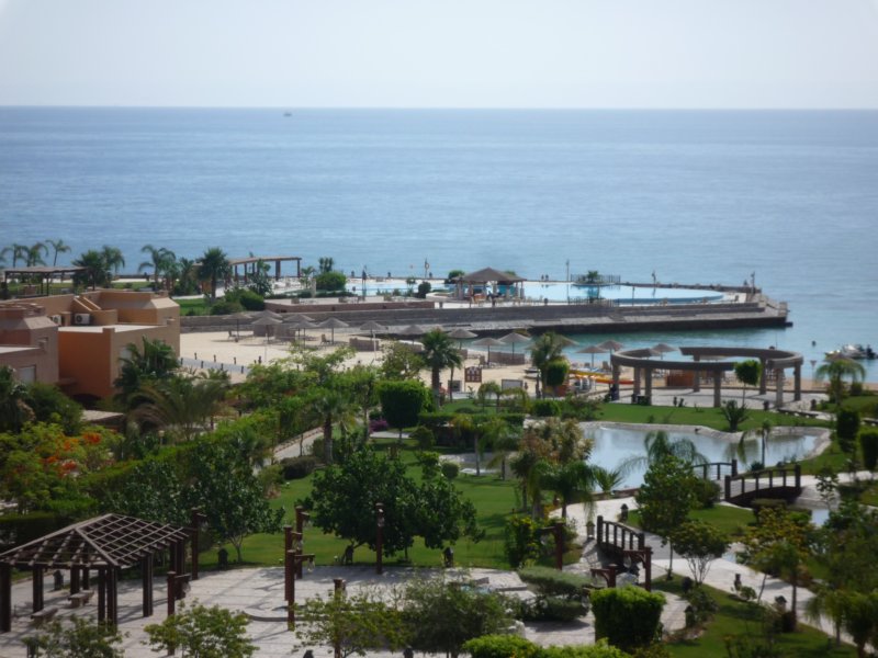 p1000815.jpg