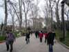 p1000633_small.jpg