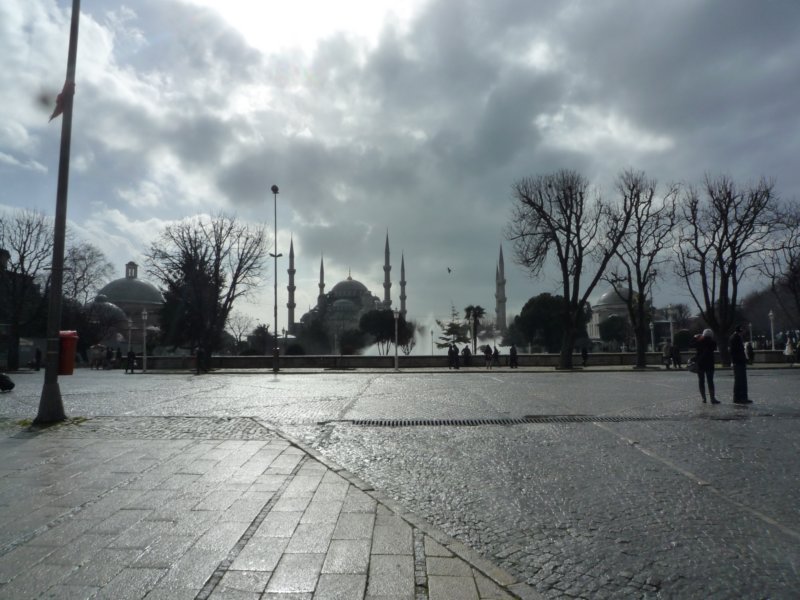 p1000635.jpg