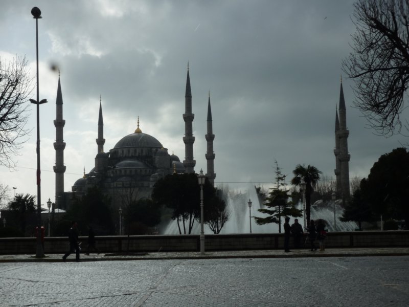 p1000636.jpg
