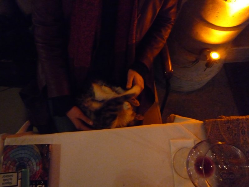 p1000656.jpg