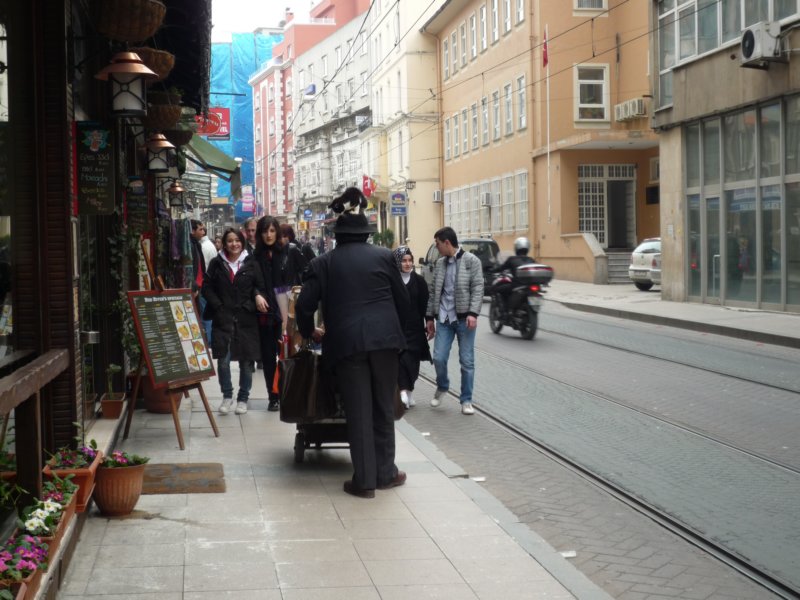 p1000658.jpg