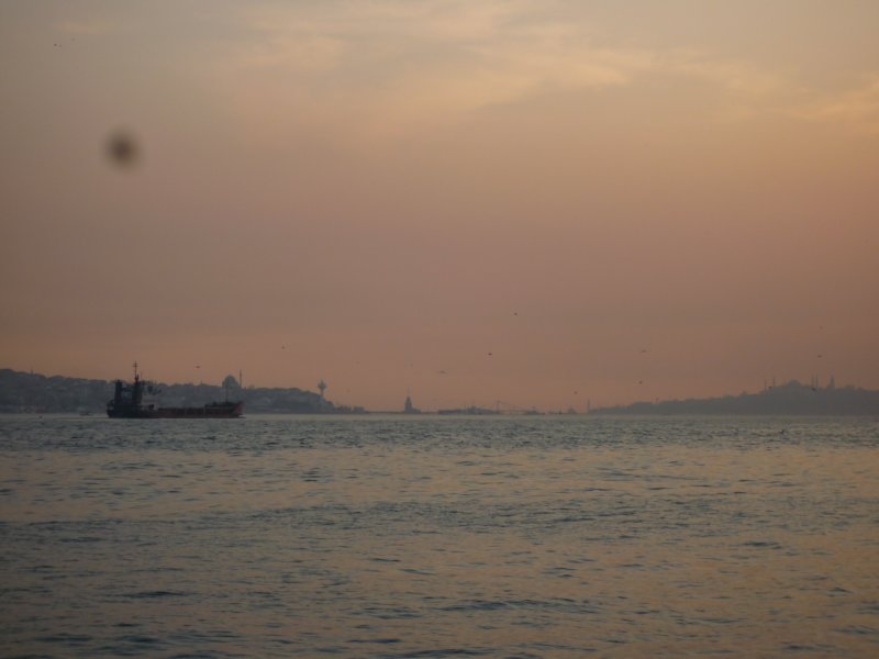 p1000663.jpg