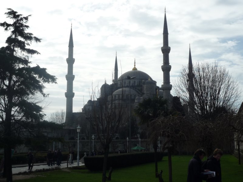 p1000733.jpg