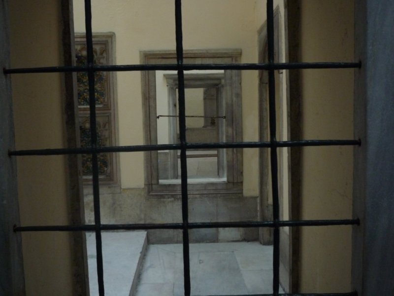p1000754.jpg