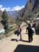 img_0957jpg_small.jpg