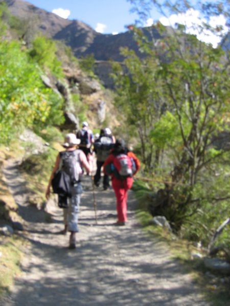 img_0966jpg.jpg