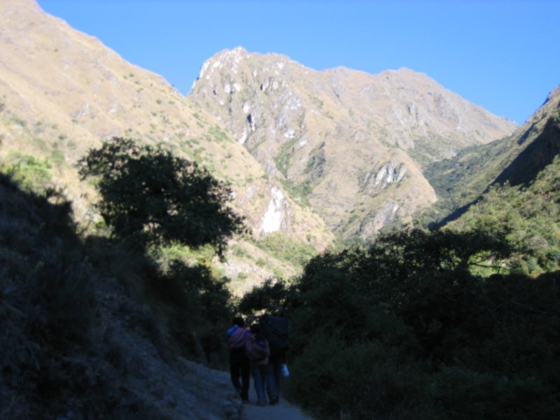 img_0984.jpg