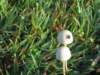 picture067jpg_small.jpg
