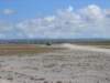 picture091jpg_small.jpg