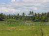 picture116jpg_small.jpg