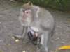 picture124jpg_small.jpg