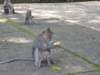 picture125jpg_small.jpg