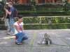 picture130jpg_small.jpg
