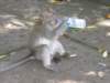 picture131jpg_small.jpg