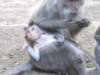 picture137jpg_small.jpg