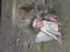 picture139jpg_small.jpg