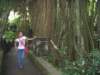 picture145jpg_small.jpg