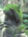 picture147jpg_small.jpg