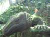 picture151jpg_small.jpg