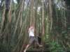 picture154jpg_small.jpg
