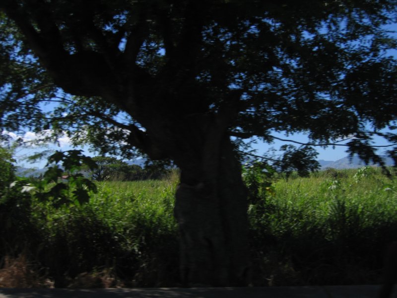 img_2197.jpg