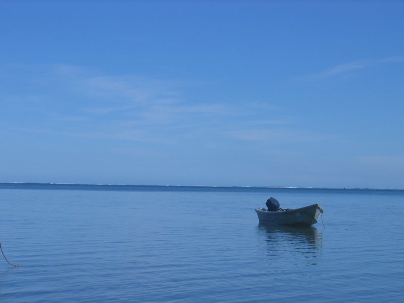 img_2221.jpg